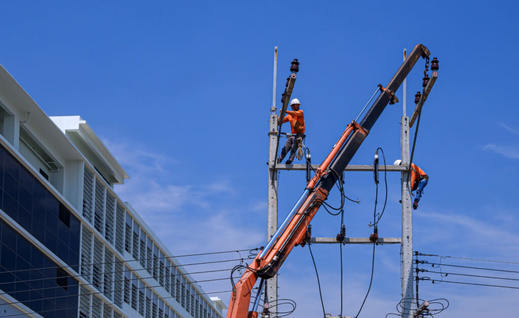 sector eléctrico y profesionales